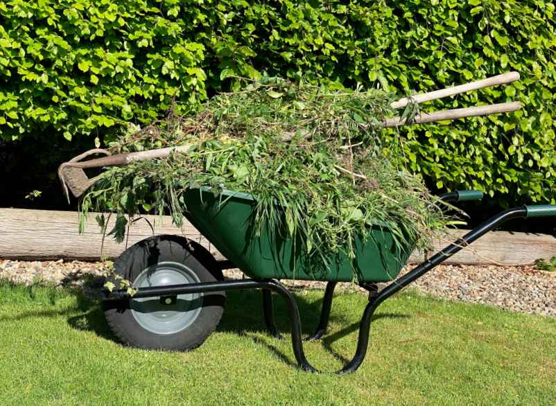 Quel dosage de glyphosate pour 5 litres d’eau ?